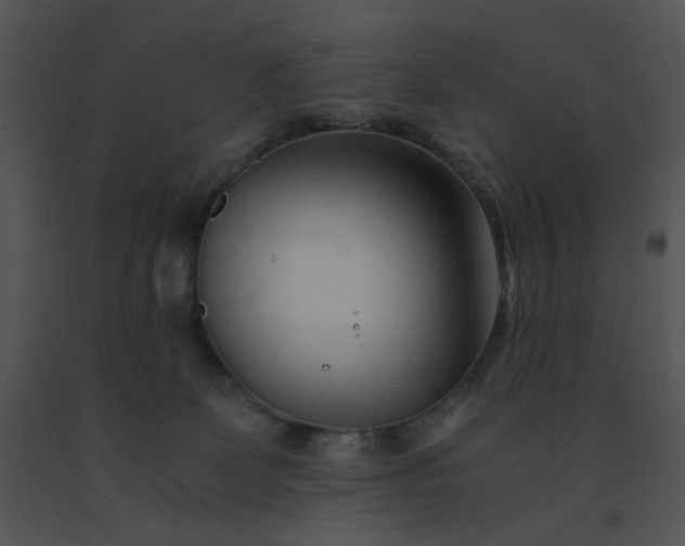 X0000091520131200708311257