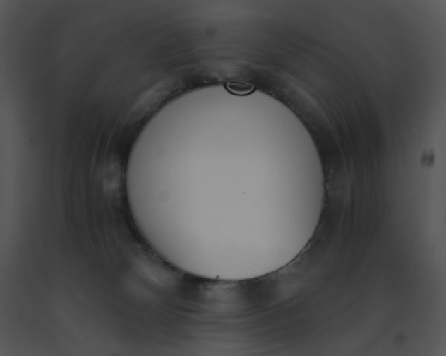 X0000091520132200708311257