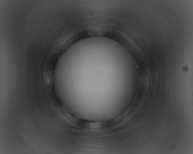 X0000091520134200708311257