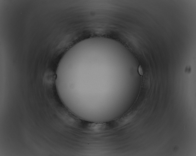 X0000091520135200708311257