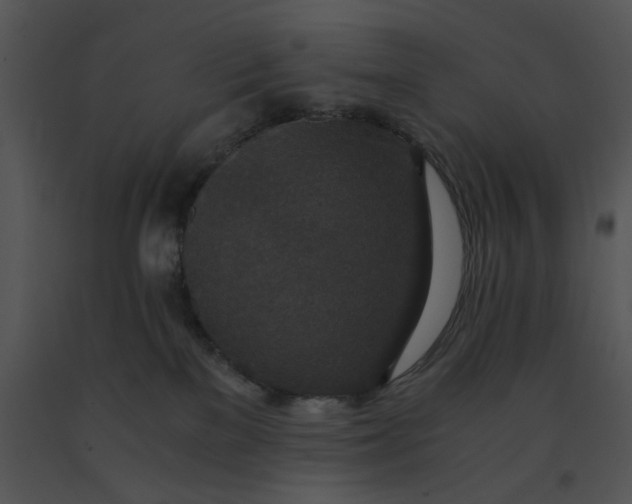 X0000091520137200708311257