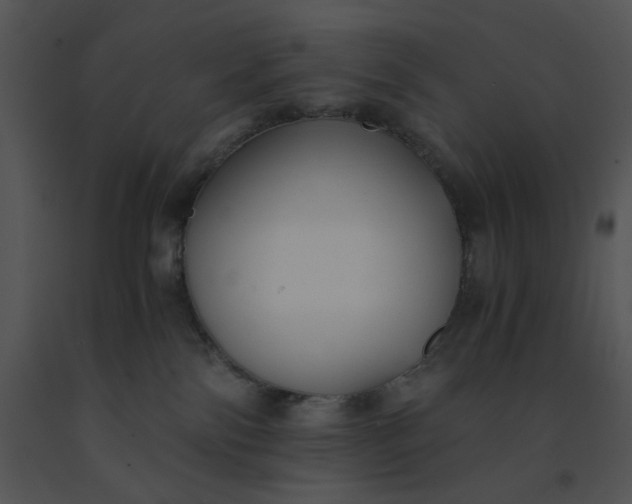 X0000091520138200708311257