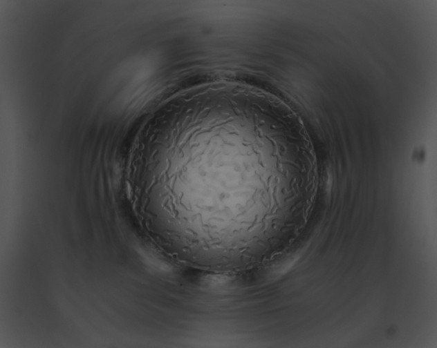 X0000091520139200708311257