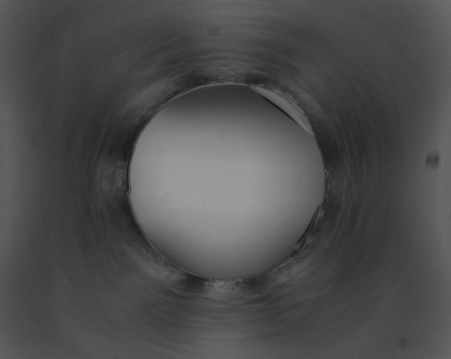 X0000091520141200708311257