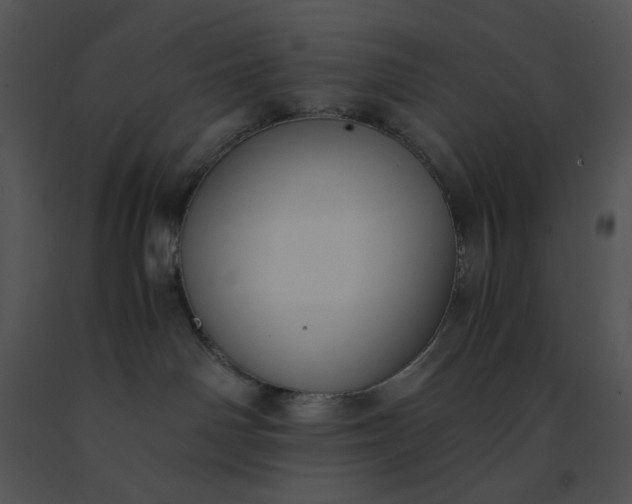 X0000091520142200708311257