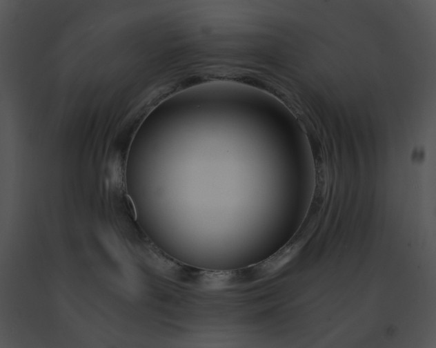 X0000091520143200708311257