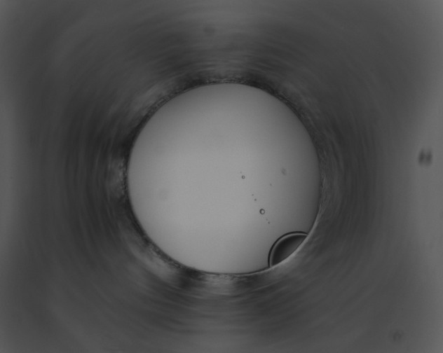 X0000091520144200708311257