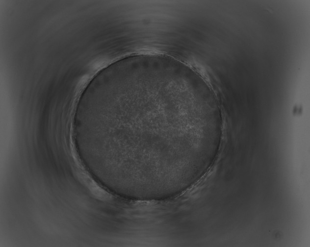 X0000091520145200708311257