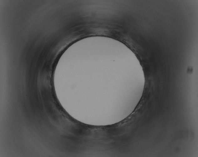 X0000091520146200708311257