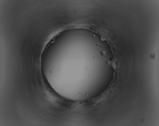 X0000091520148200708311257