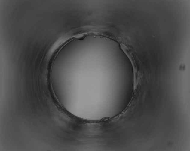 X0000091520150200708311257