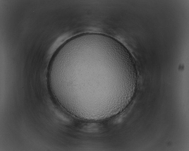 X0000091520151200708311257