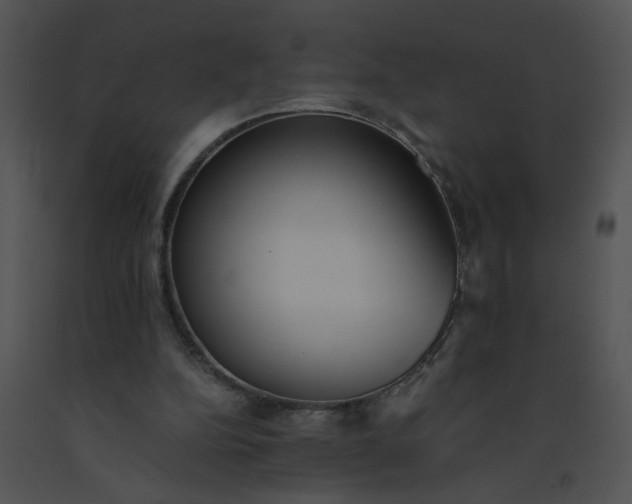 X0000091520152200708311257