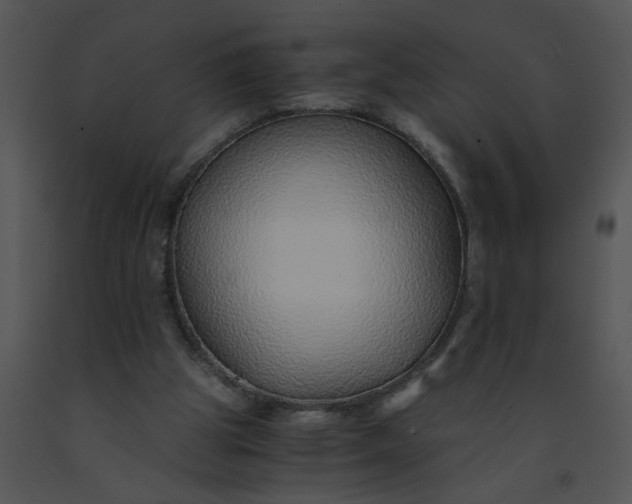 X0000091520153200708311257