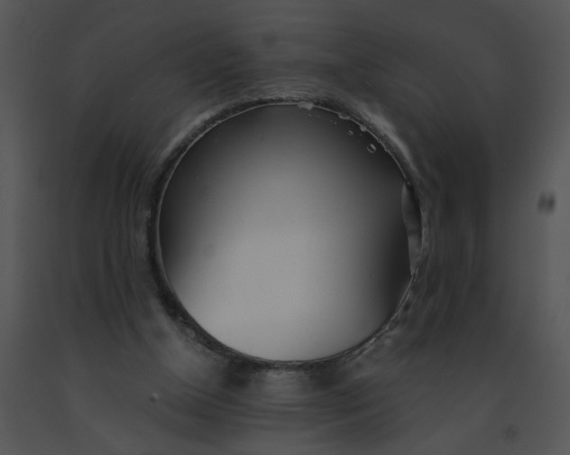 X0000091520154200708311257