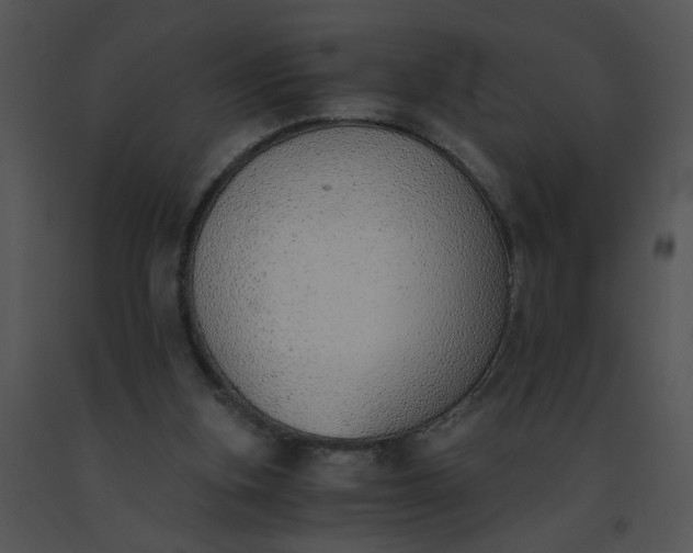 X0000091520155200708311257