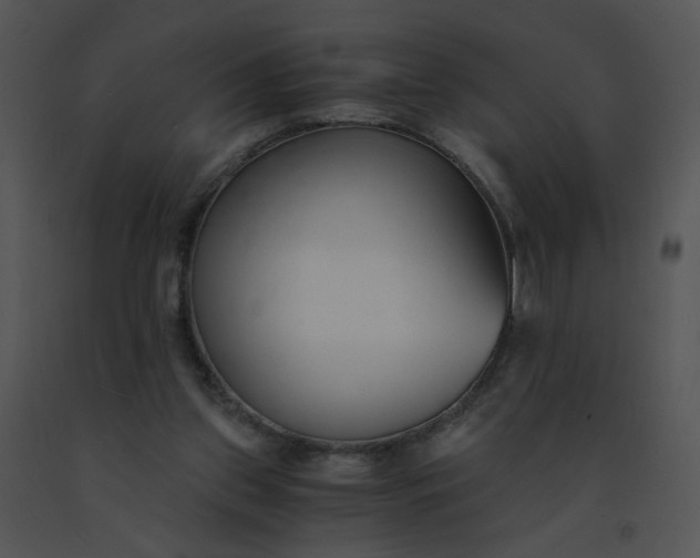 X0000091520157200708311257