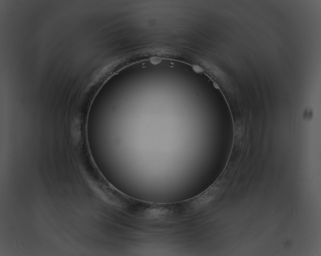 X0000091520158200708311257