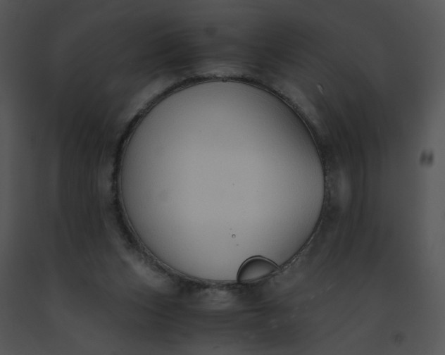 X0000091520159200708311257