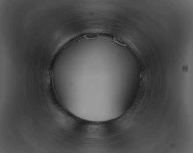 X0000091520160200708311257