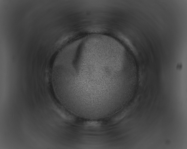 X0000091520161200708311257