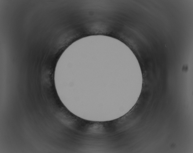 X0000091520162200708311257