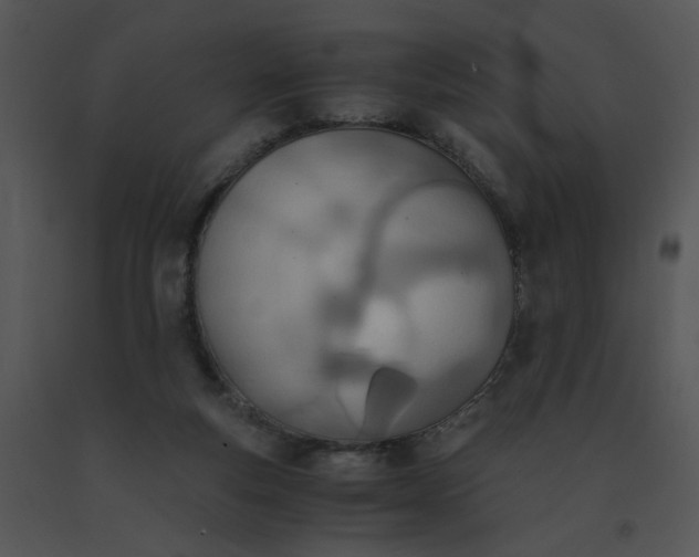 X0000091520163200708311257