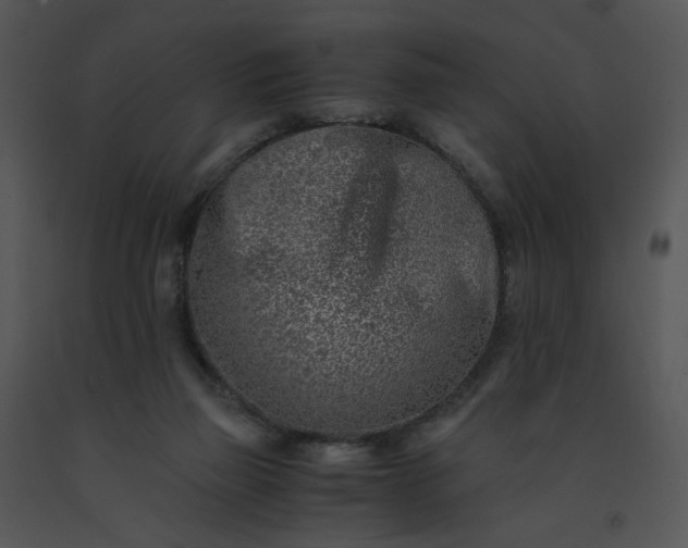 X0000091520165200708311257