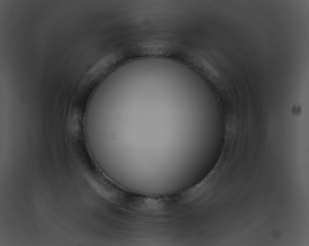 X0000091520166200708311257