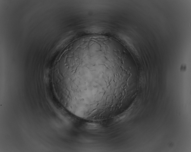 X0000091520167200708311257