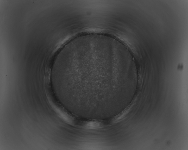 X0000091520168200708311257