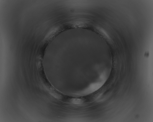 X0000091520169200708311257