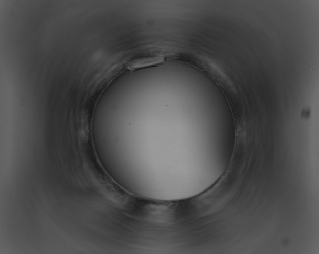 X0000091520170200708311257