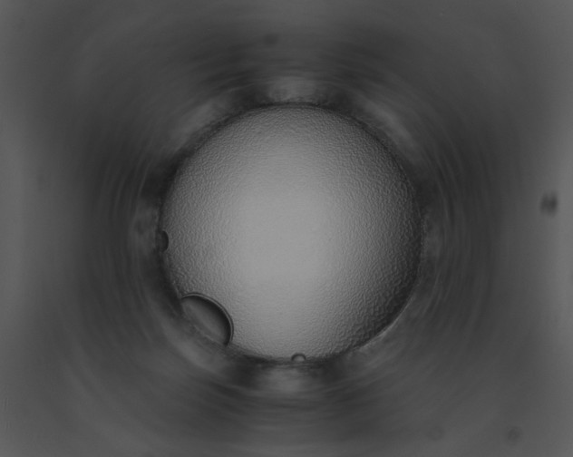 X0000091520171200708311257