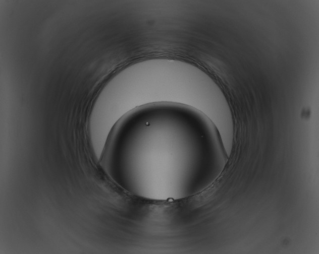 X0000091520172200708311257