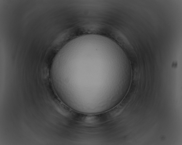 X0000091520173200708311257