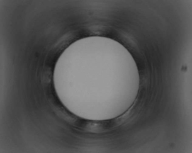 X0000091520174200708311257