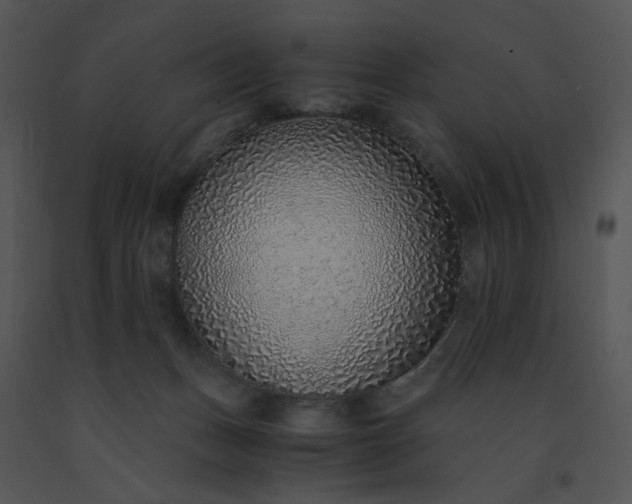 X0000091520175200708311257