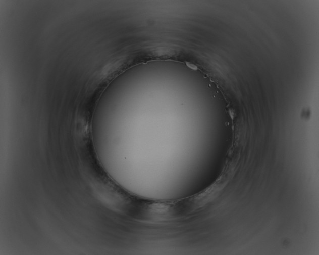 X0000091520176200708311257