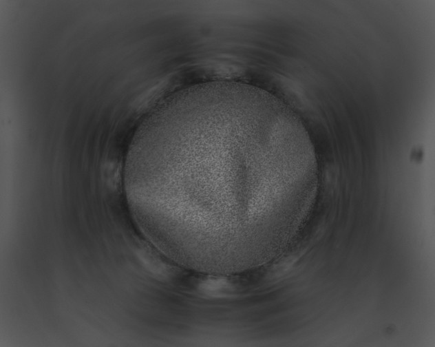 X0000091520177200708311257