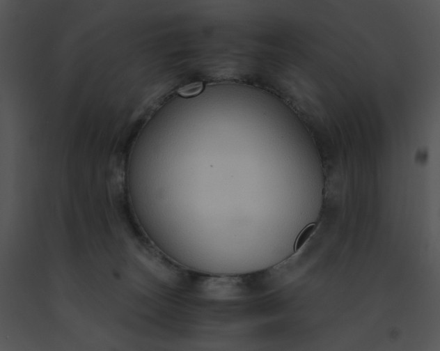 X0000091520179200708311257