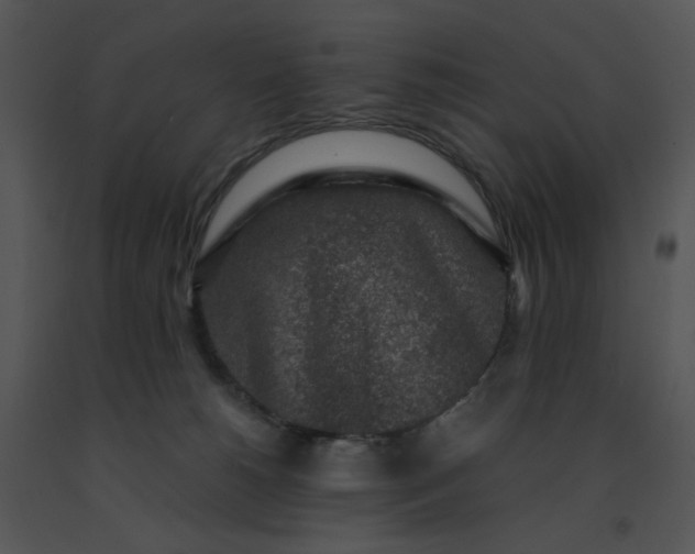 X0000091520180200708311257