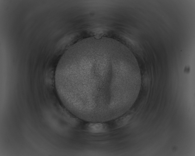 X0000091520181200708311257