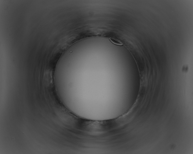 X0000091520182200708311257