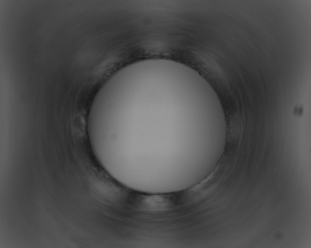 X0000091520183200708311257