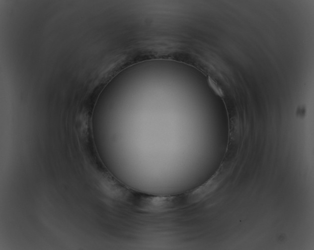 X0000091520184200708311257