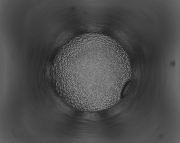 X0000091520185200708311257