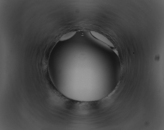 X0000091520186200708311257