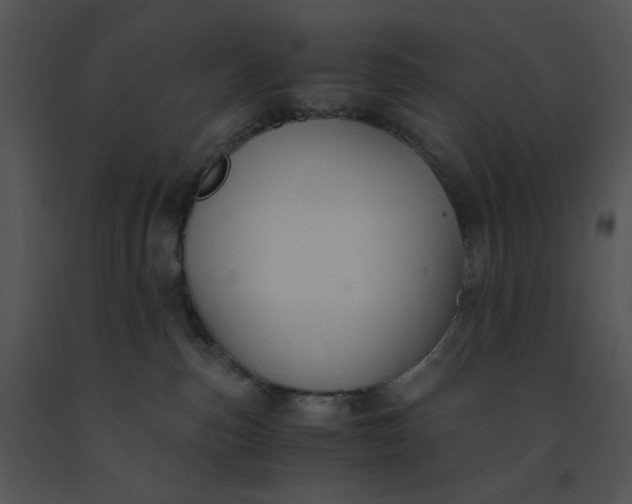 X0000091520187200708311257