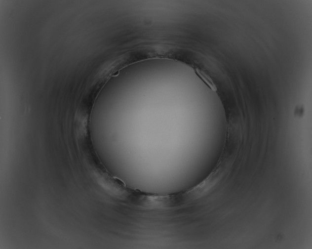 X0000091520188200708311257